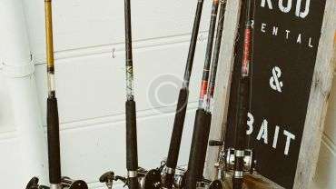 We Help You Select Your Fishing Rod